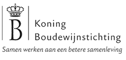 Koning Boudewijnstichting